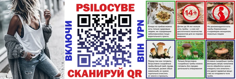 где можно купить   Нефтекумск  Псилоцибиновые грибы Psilocybe 