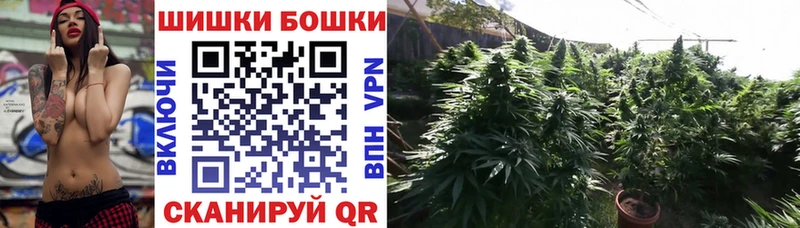 Бошки Шишки план  как найти закладки  Нефтекумск 